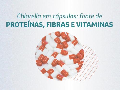 Chlorella: fonte de proteínas e fortalece imunidade