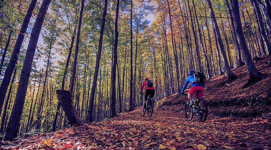 A imagem mostra duas pessoas praticando um esporte radical que consiste em fazer trilha de bicicleta