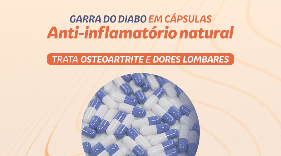 Garra do Diabo em cápsulas: poderoso anti-inflamatório natural