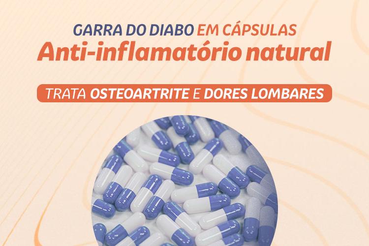 Garra do Diabo em cápsulas: poderoso anti-inflamatório natural