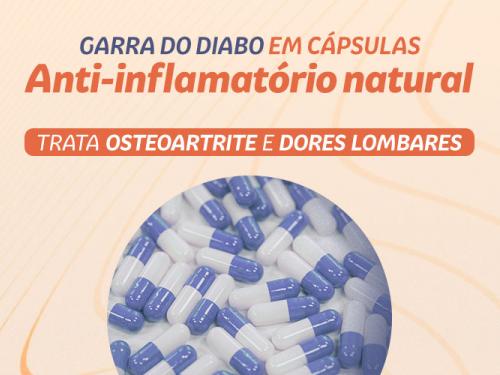 Garra do Diabo em cápsulas: poderoso anti-inflamatório natural